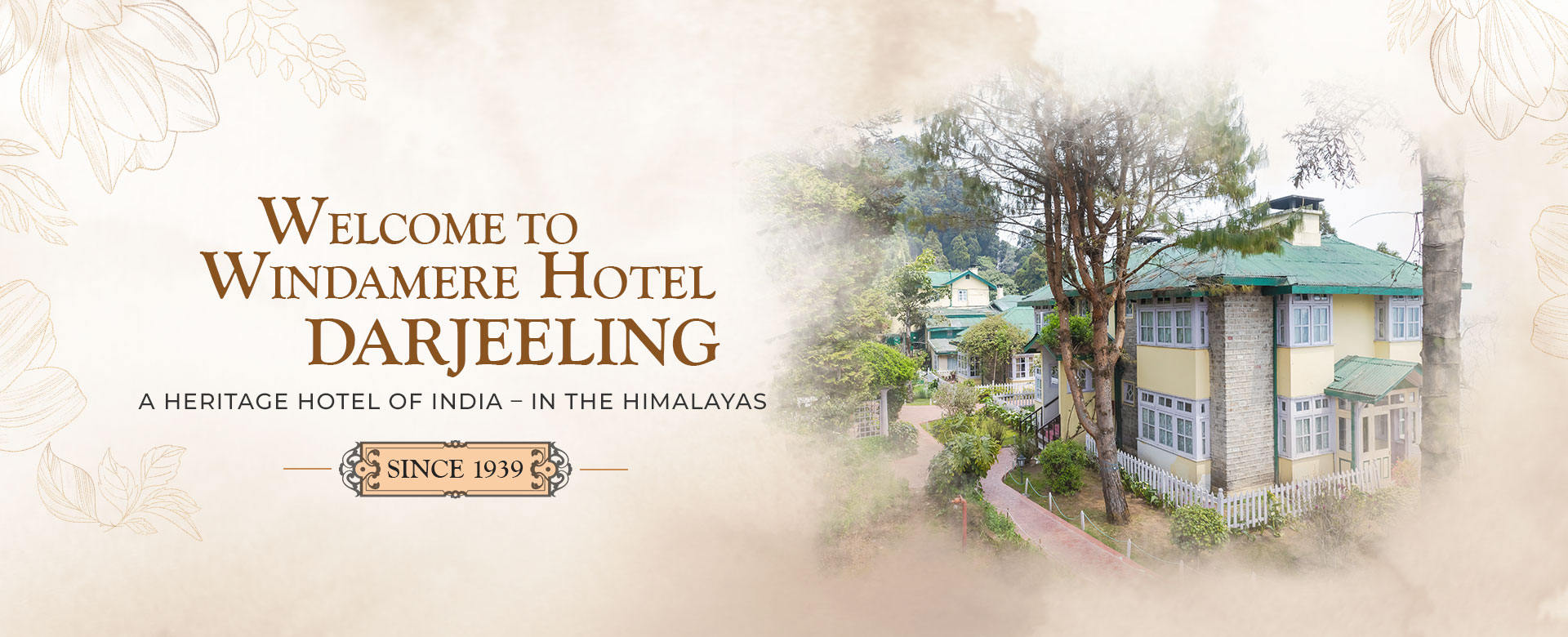 Windamere Darjeeling