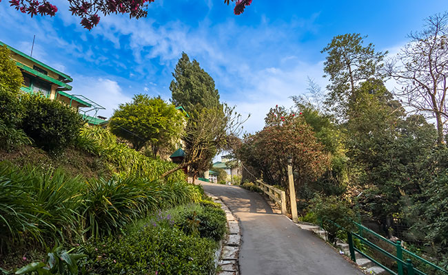 Premium Darjeeling Sightseeing