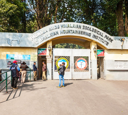 The Himalayan Zoological Park of Padmaja Naidu