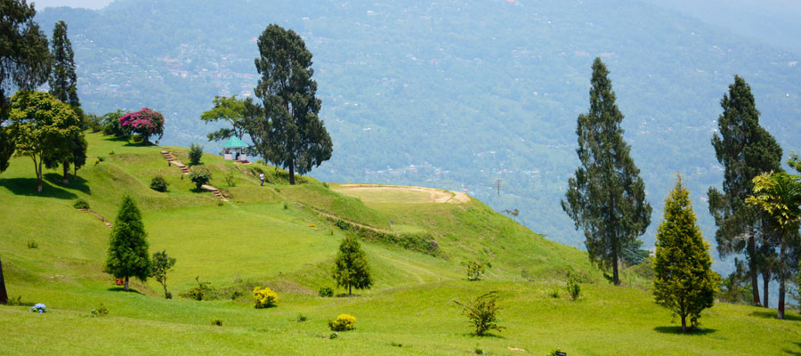 Boutique Hotel In Darjeeling